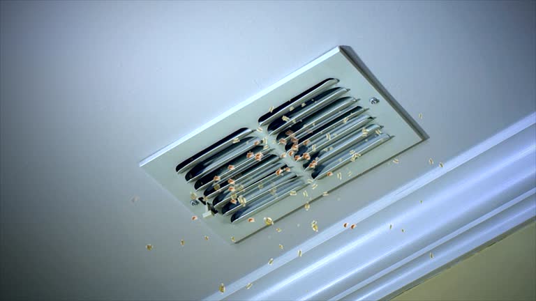 Best Affordable Air Duct Cleaning  in Lifornia City, CA
